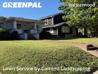 Affordable Landscaping Maintenance Services In Greensboro,27401,Landscapers by Camino Landscaping, work completed in Oct , 2025