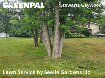 Grass Cut nearby Brookfield, WI, 