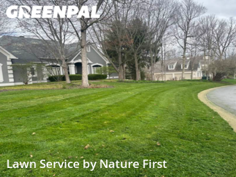 Yard Cutting nearby Zionsville, IN, 