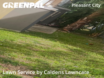 Lawn mowed in West Palm Beach, 33407