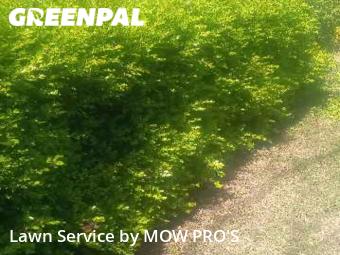 Lawn Mow nearby Benbrook, TX, 