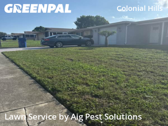 Lawn Service nearby New Prt Rchy, FL, 