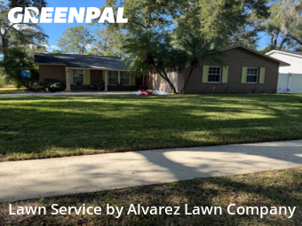 Lawn Care Servicein Altamonte Springs,32714,Lawn Cutting by Alvarez Lawn Company, work completed in Jan , 2026