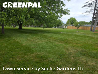 Lawn Mow nearby Kenosha, WI, 