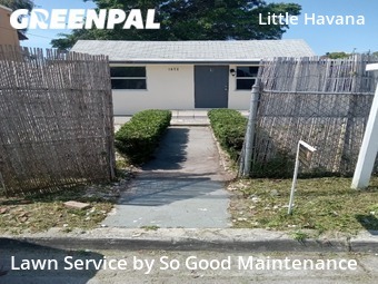 Grass Cut nearby Miami, FL, 