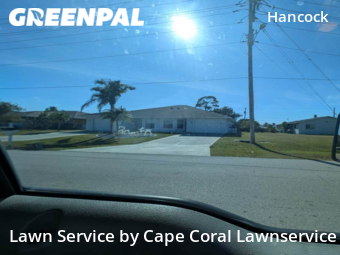 Grass Cut nearby Cape Coral, FL, 