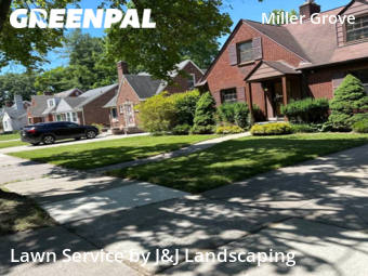 Grass Cut nearby Detroit, MI, 