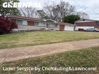Grass Cut nearby St. Louis, MO, 