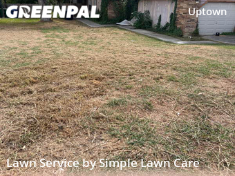 Yard Cutting nearby San Antonio, TX, 