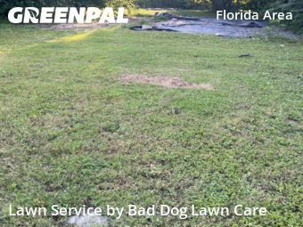 Yard Mowing nearby New Orleans, LA, 