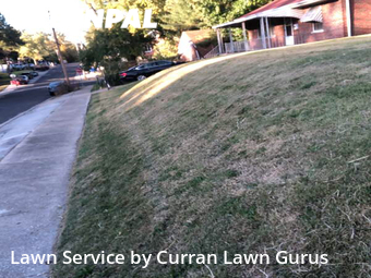 Yard Cutting nearby St. Louis, IL, 