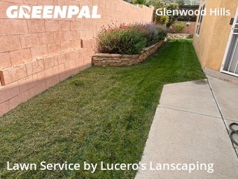 Lawn Mow nearby Albuquerque, NM, 