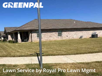 Grass Cutting nearby Southaven, MS, 