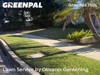 Work completed by lawn-care-services-in-Los Angeles-CA