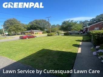Lawn Cut nearby Virginia Beach, VA, 