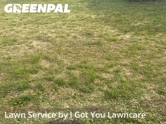 Yard Mowing nearby Clermont, FL, 