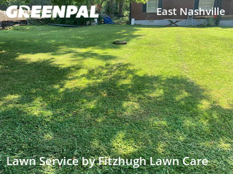 Yard Cutting nearby Nashville Davidson, TN, 