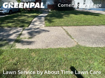 Grass Cut nearby Detroit, MI, 