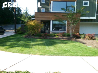 Grass Cut nearby Sammamish, WA, 