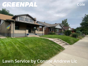 Lawn Cut nearby Denver, CO, 