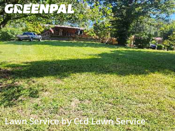 Grass Cut nearby Knoxville, NC, 