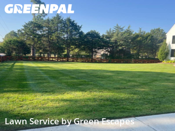 Lawn Mowing Servicein Brentwood,37027,Lawn Mow by Green Escapes, work completed in Nov , 2025