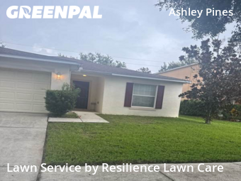 Grass Cut nearby Wesley Chapel, FL, 