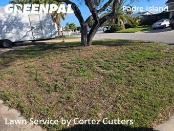 Lawn Service nearby Corpus Christi, TX, 