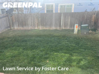 Grass Cut nearby Northglenn, CO, 