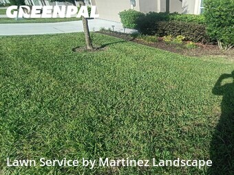 Lawn Mow nearby Groveland, FL, 