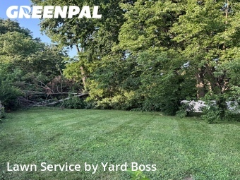 Grass Cut nearby Independence, MO, 