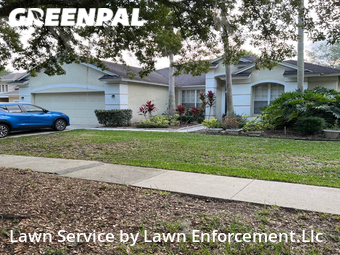 Lawn Maintenance nearby Valrico, FL, 