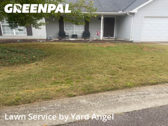 Lawn Care nearby Flowery Branch, GA, 