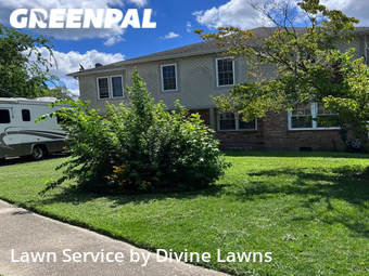 Yard Mowing nearby Norfolk, VA, 