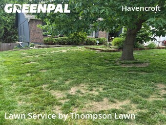 Grass Cutin Olathe,66062,Grass Cutting by Thompson Lawn, work completed in Jun , 2026