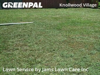 Lawn Mowing Service nearby Holiday, FL, 