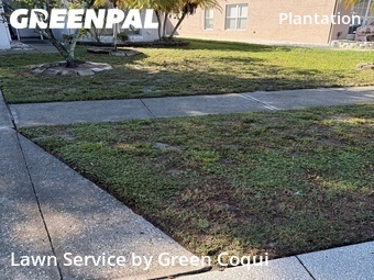 Lawn Mowing nearby Tampa, FL, 