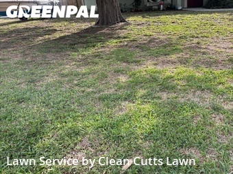 Yard Mowing nearby Ellenton, FL, 