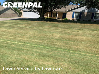 Lawn Care nearby Harvest, AL, 