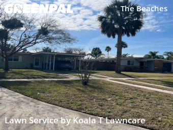Lawn Servicein Jacksonville Beach,32250,Lawn Cut by Koala T Lawncare, work completed in Jul , 2026