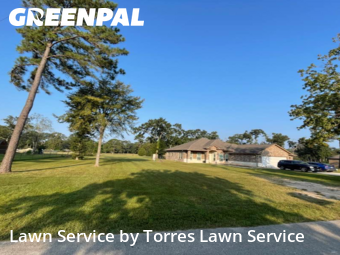 Lawn Maintenance nearby Conroe, TX, 