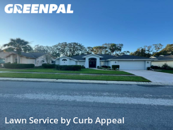 Lawn Cut nearby Spring Hill, FL, 
