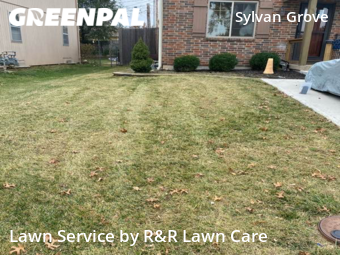 Grass Cut nearby Overland Park, MO, 