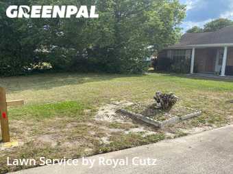 Grass Cutting nearby Deltona, FL, 