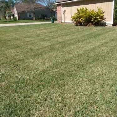 Order Lawn Care in Jacksonville, FL, 32244