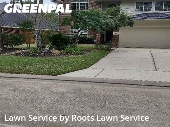 Lawn Mow nearby Spring, TX, 