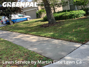 Grass Cut nearby Wesley Chapel, FL, 