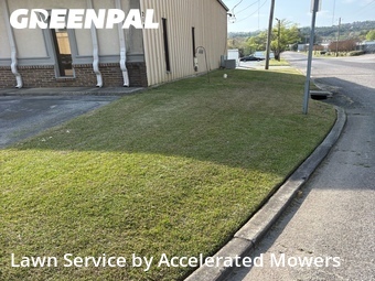 Lawn Cutting nearby Homewood, AL, 