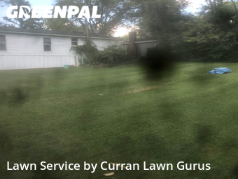 Lawn Service nearby Belleville, IL, 