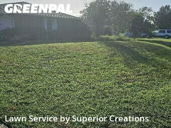 Lawn Mow nearby Spring Hill, FL, 